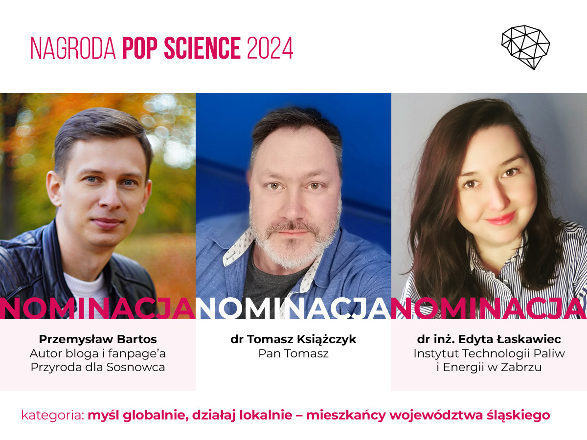 obraz dekoracyjny