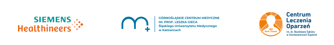 belka z logo partnerów